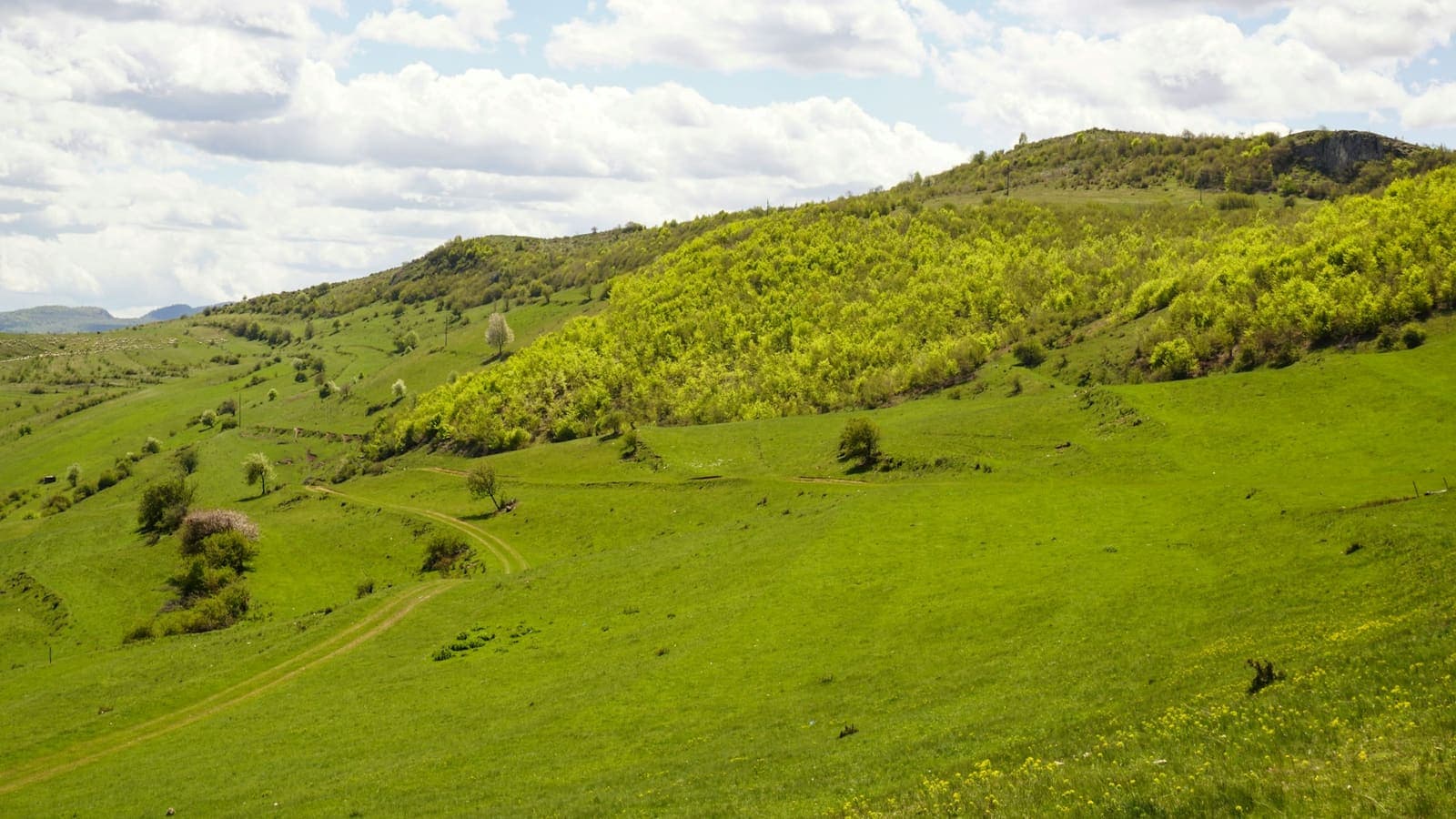 Câmp verde, cu dealuri în depărtare
