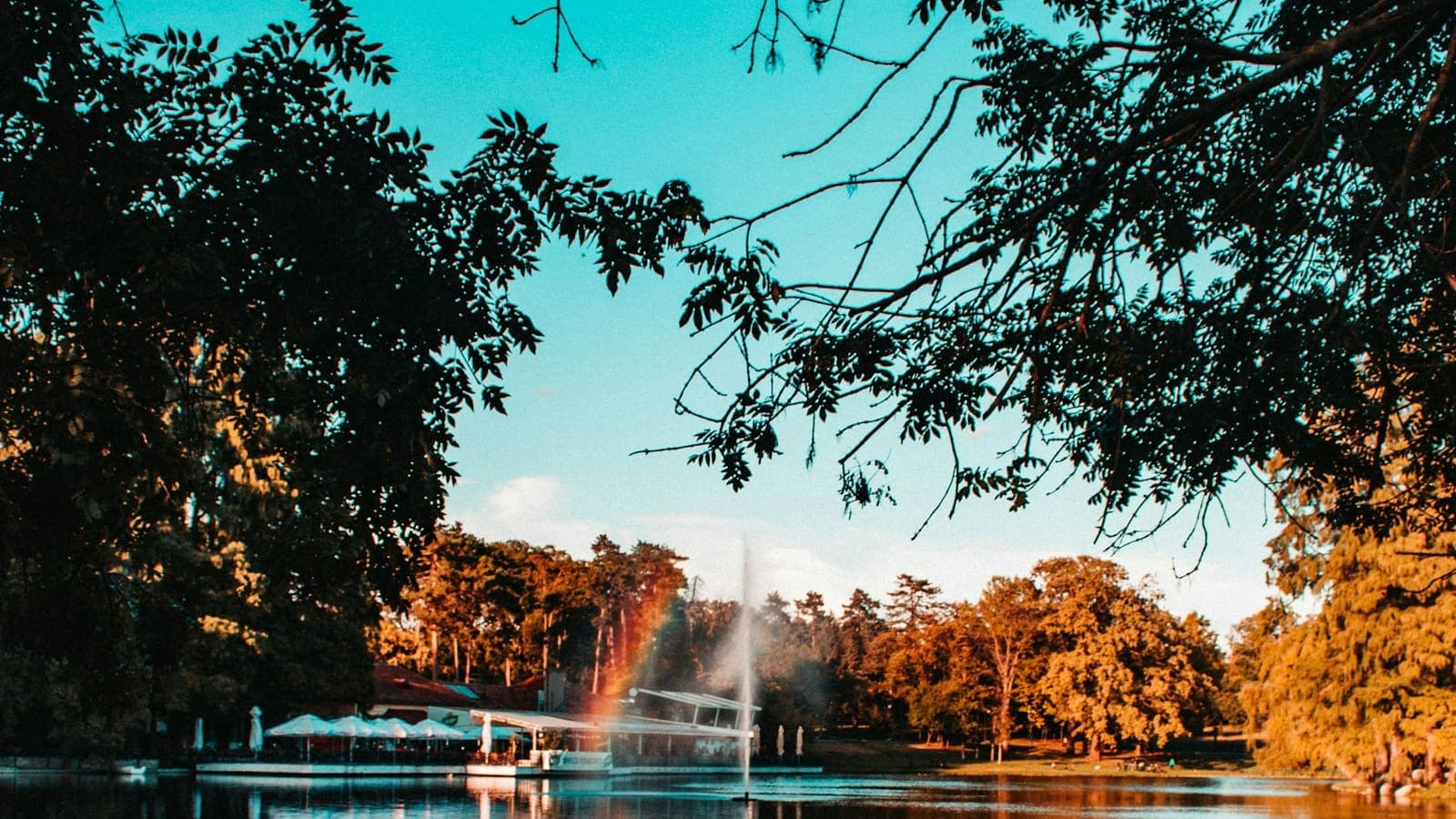 Lac într-un parc, printre copaci