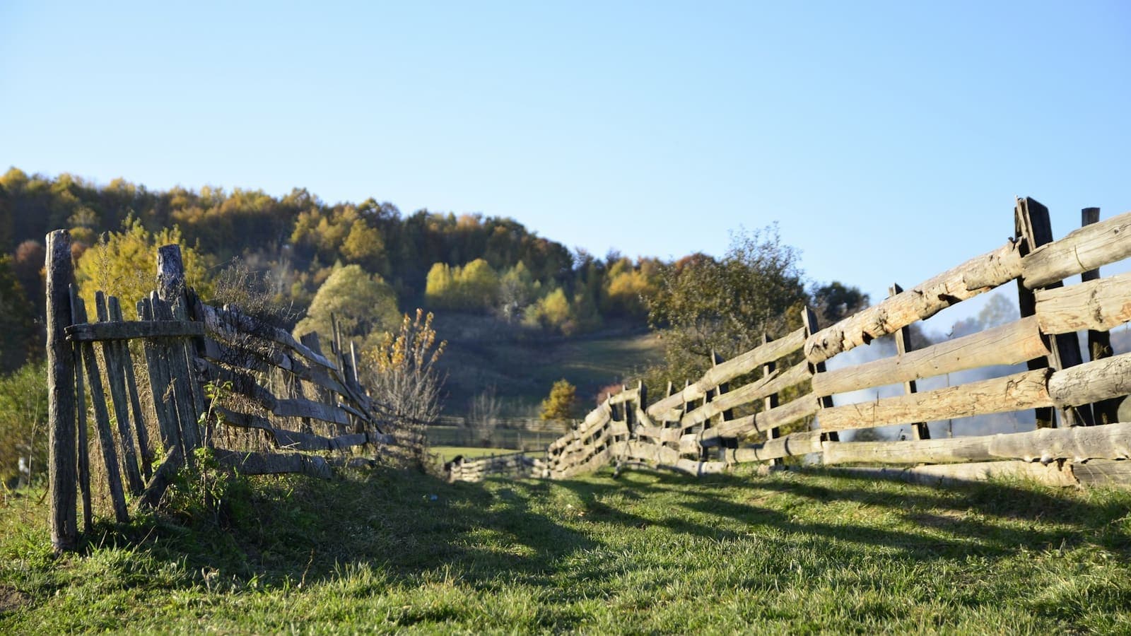 Câmp verde, cu gard de lemn